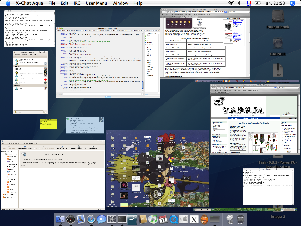 Copie d'écran de MacOS en mode exposé